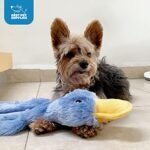Best Pet Supplies Crinkle Dog Toy for Small, Medium, and Large Breeds, Cute No Stuffing Duck with Soft Squeaker, Fun for Indoor Puppies and Senior Pups, Plush No Mess Chew and...