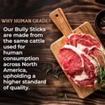 Bully Bunches Premium 6 Inch Standard Odour-Free Bully Sticks for Small to Medium Dogs & Puppies - Long Lasting Chews For Oral Care - All Natural, Single Ingredient Beef Dog...